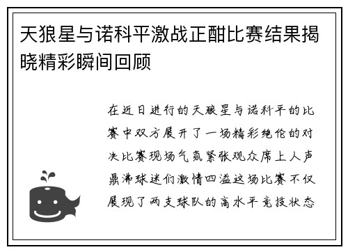天狼星与诺科平激战正酣比赛结果揭晓精彩瞬间回顾