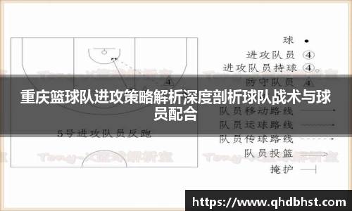 重庆篮球队进攻策略解析深度剖析球队战术与球员配合