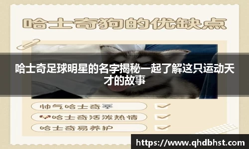 哈士奇足球明星的名字揭秘一起了解这只运动天才的故事